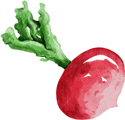 organic-farming-illustrations-06